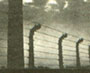 Auschwitz
