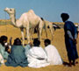 Africa