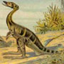 Compsognathus