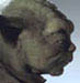 Yoda
