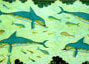 delfini