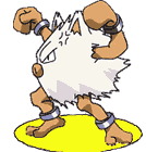 mankey - pokemon peloso