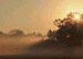 nebbia