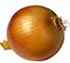 cipolla