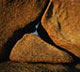 rocce