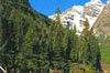 Biella