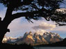 Patagonia