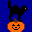 un gatto sulla zucca