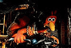 gallina